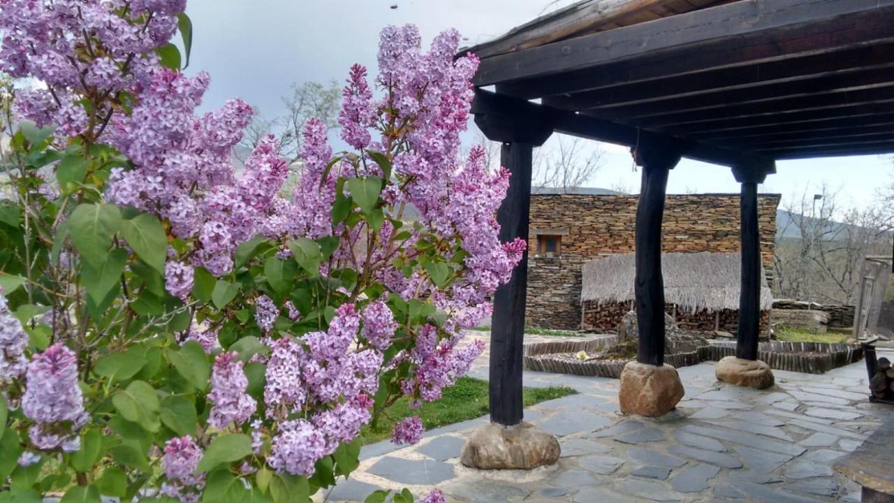Maison d'hôtes La Era De La Tia Donata à Campillo de Ranas Extérieur photo
